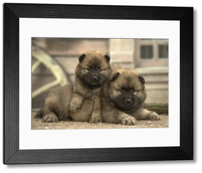 Framed Print : Picture No. 11991893 Framed Print : Picture No. 11991893