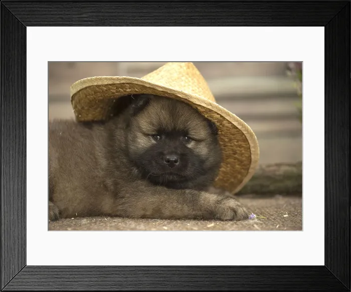 Framed Print : Picture No. 11991894 Framed Print : Picture No. 11991894