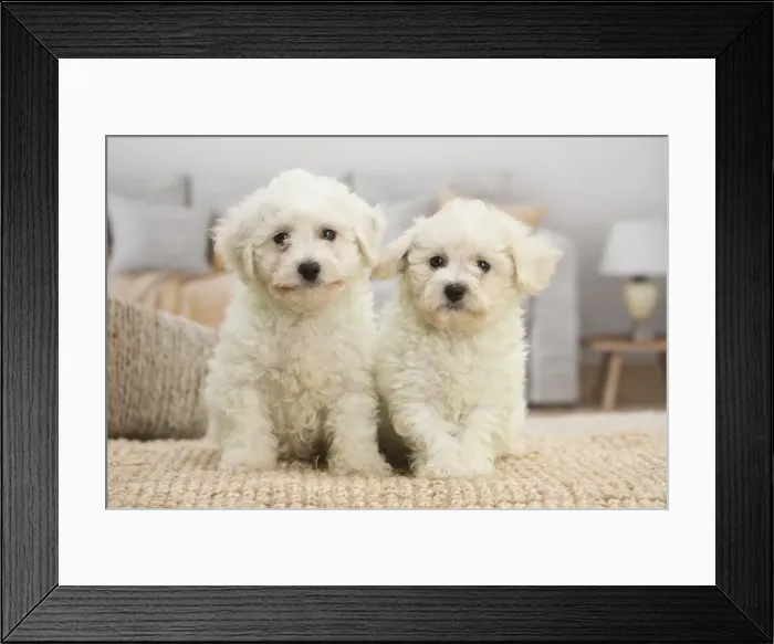 Framed Print : Picture No. 11991902 Framed Print : Picture No. 11991902