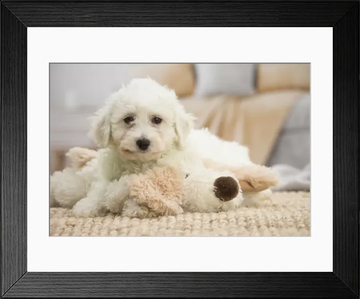 Framed Print : Picture No. 11991906 Framed Print : Picture No. 11991906