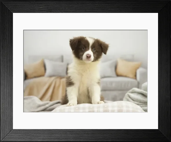 Framed Print : Picture No. 11991925 Framed Print : Picture No. 11991925
