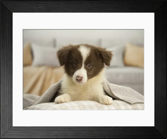 Framed Print : Picture No. 11991930 Framed Print : Picture No. 11991930