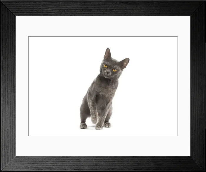 Framed Print : Picture No. 11991933 Framed Print : Picture No. 11991933