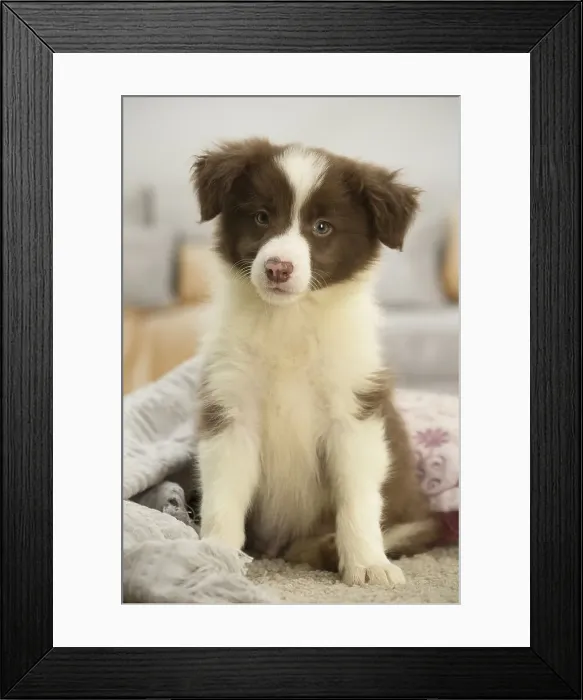 Framed Print : Picture No. 11991932 Framed Print : Picture No. 11991932