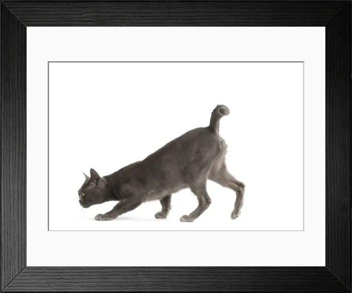 Framed Print : Picture No. 11991938 Framed Print : Picture No. 11991938