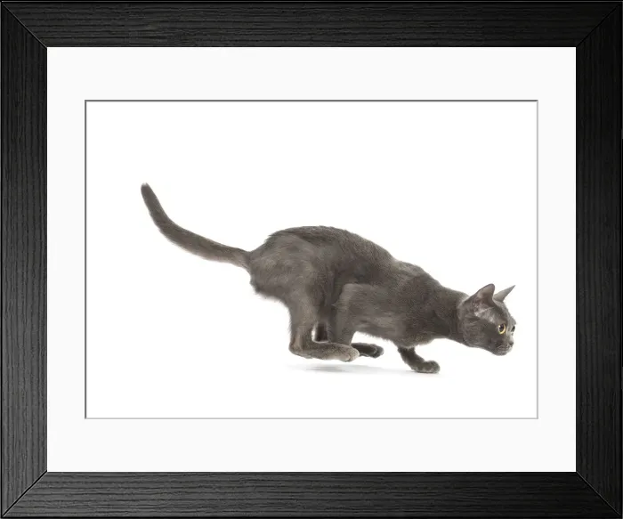 Framed Print : Picture No. 11991940 Framed Print : Picture No. 11991940