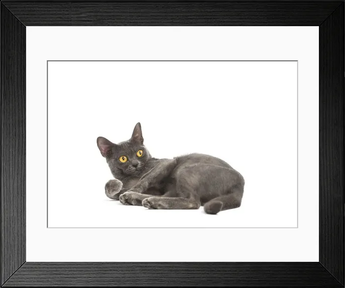 Framed Print : Picture No. 11991942 Framed Print : Picture No. 11991942