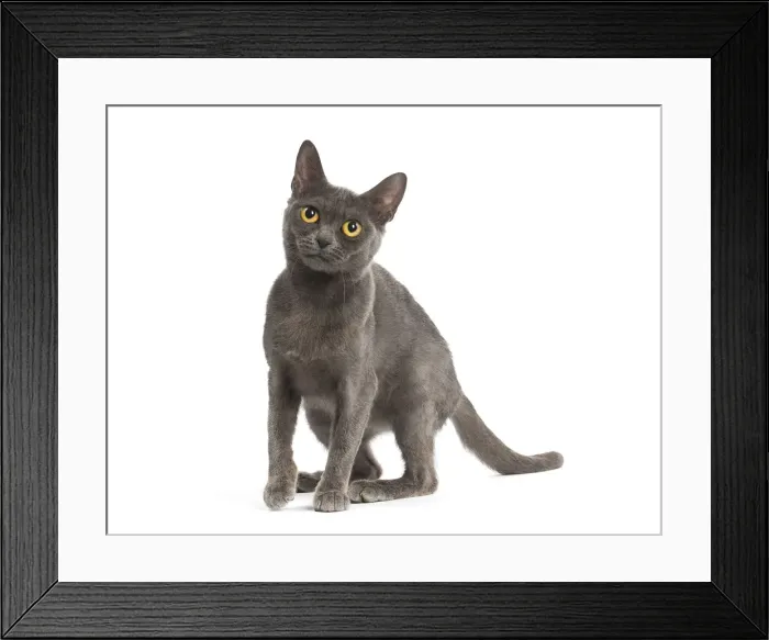 Framed Print : Picture No. 11991944 Framed Print : Picture No. 11991944