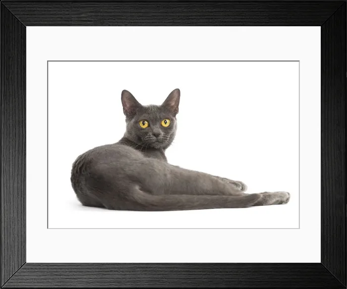 Framed Print : Picture No. 11991946 Framed Print : Picture No. 11991946