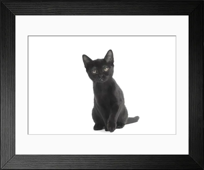 Framed Print : Picture No. 11991972 Framed Print : Picture No. 11991972