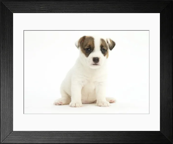 Framed Print : Picture No. 11991990 Framed Print : Picture No. 11991990