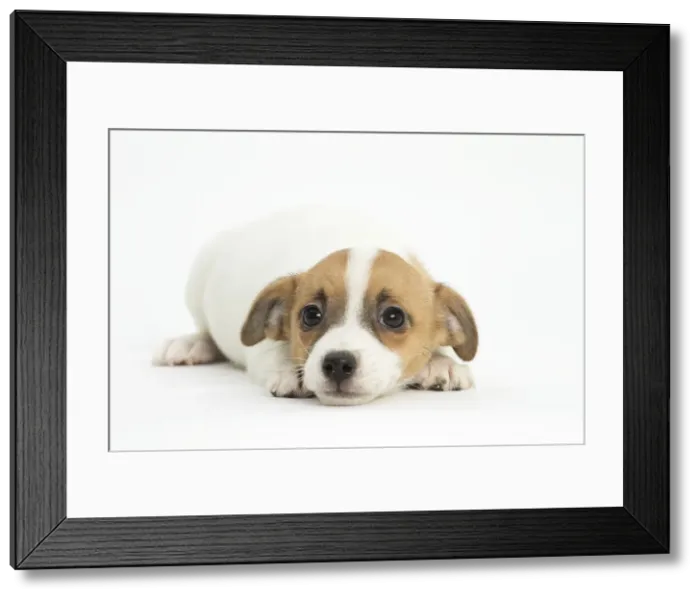 Framed Print : Picture No. 11991989 Framed Print : Picture No. 11991989