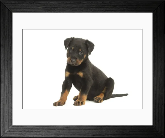 Framed Print : Picture No. 11991993 Framed Print : Picture No. 11991993