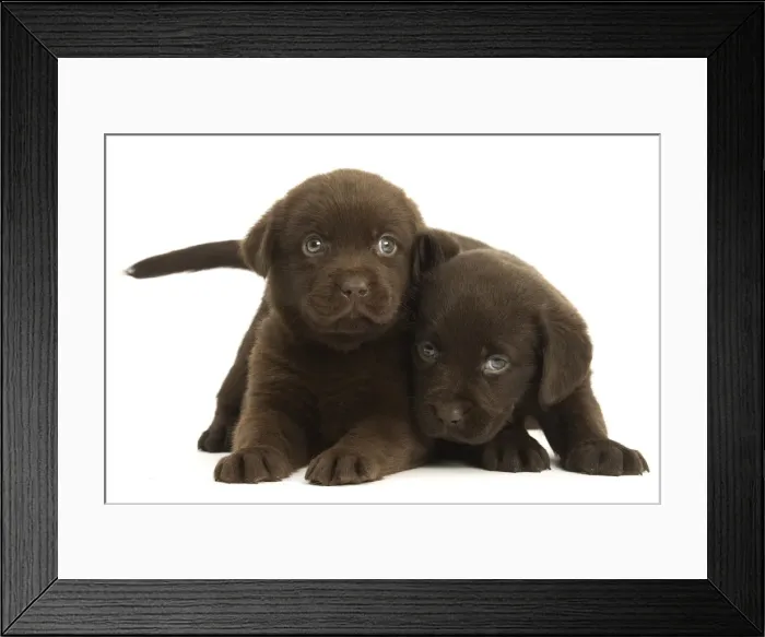 Framed Print : Picture No. 11991999 Framed Print : Picture No. 11991999