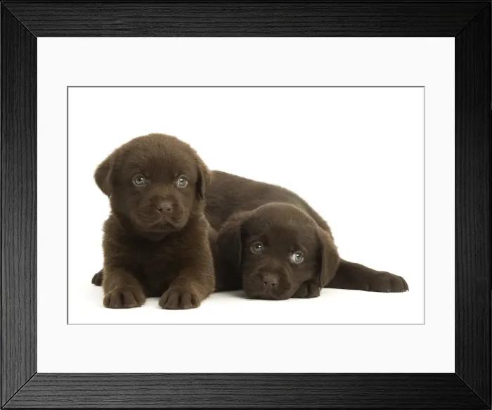 Framed Print : Picture No. 11992000 Framed Print : Picture No. 11992000