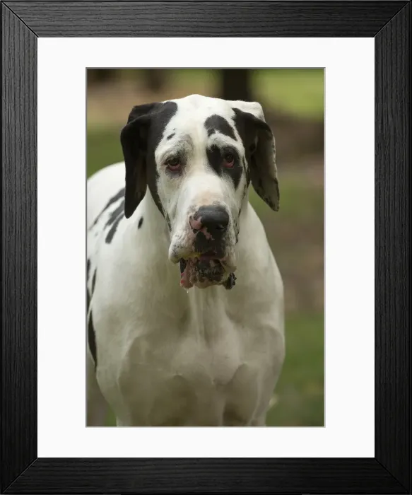 Framed Print : Picture No. 11992009 Framed Print : Picture No. 11992009