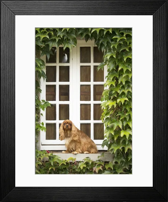 Framed Print : Picture No. 11992069 Framed Print : Picture No. 11992069