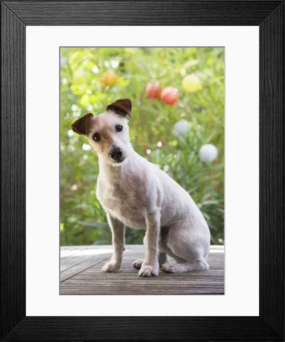 Framed Print : Picture No. 11992136 Framed Print : Picture No. 11992136