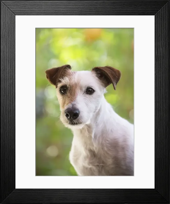 Framed Print : Picture No. 11992138 Framed Print : Picture No. 11992138
