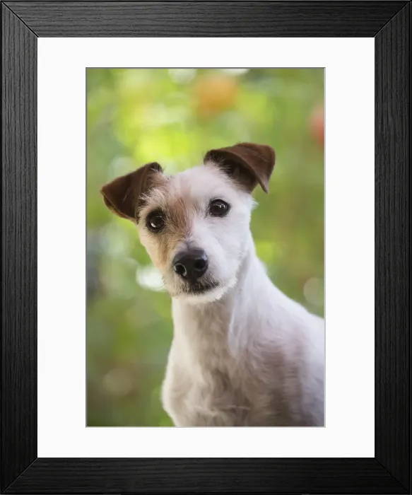 Framed Print : Picture No. 11992139 Framed Print : Picture No. 11992139