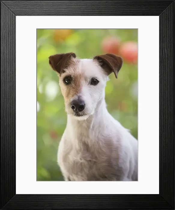 Framed Print : Picture No. 11992140 Framed Print : Picture No. 11992140