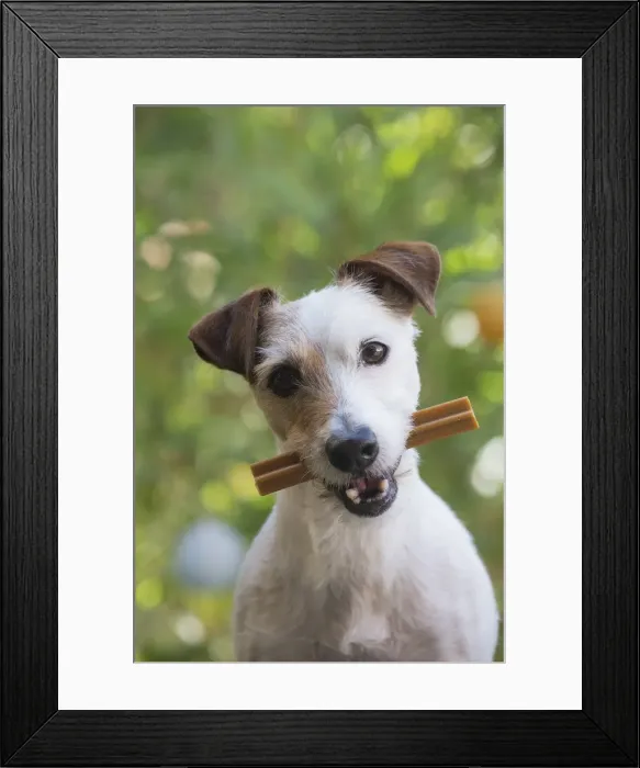 Framed Print : Picture No. 11992141 Framed Print : Picture No. 11992141