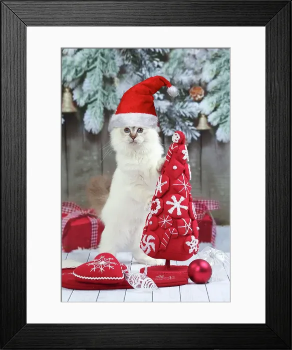 Framed Print : Picture No. 11992878 Framed Print : Picture No. 11992878
