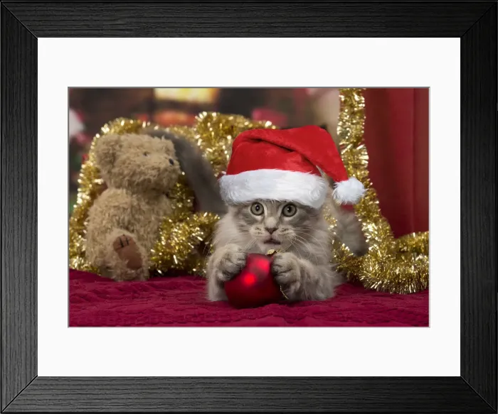Framed Print : Picture No. 11992880 Framed Print : Picture No. 11992880