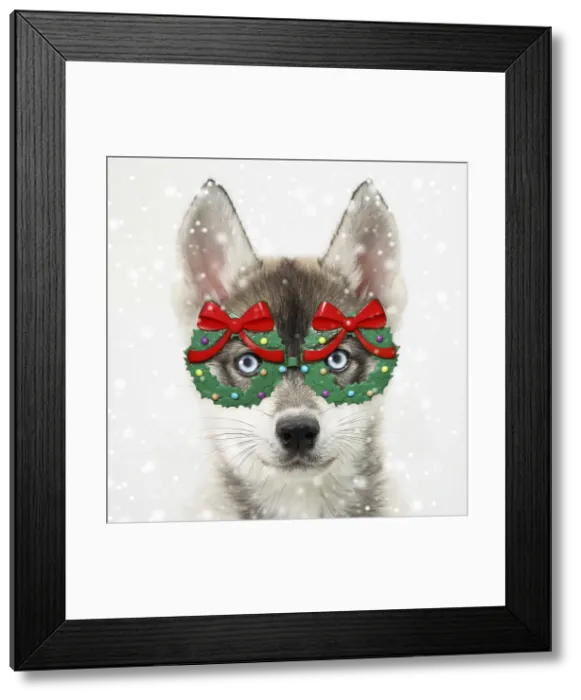Framed Print : Picture No. 11992881 Framed Print : Picture No. 11992881
