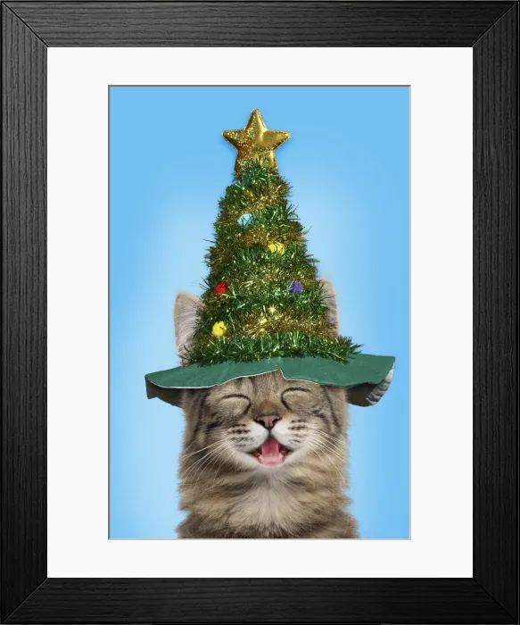 Framed Print : Picture No. 11992882 Framed Print : Picture No. 11992882