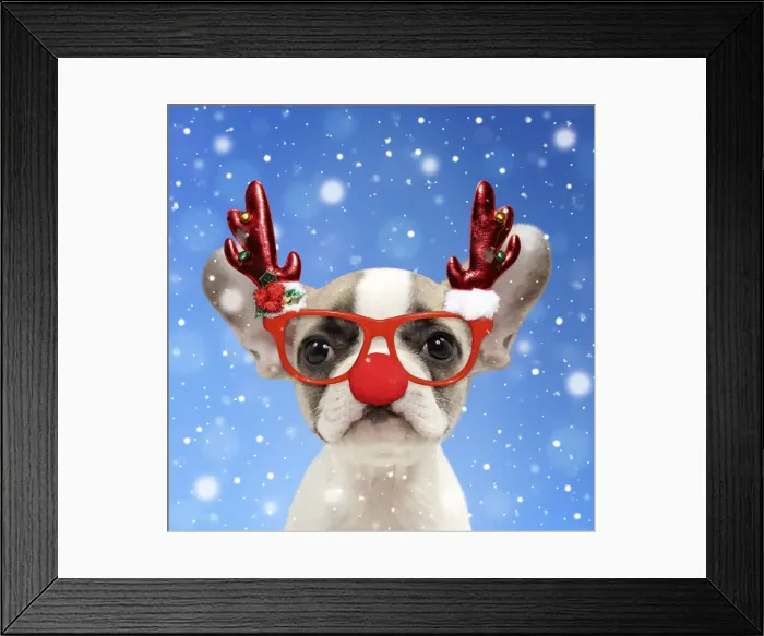 Framed Print : Picture No. 11992884 Framed Print : Picture No. 11992884