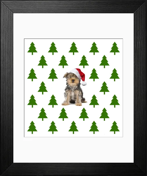 Framed Print : Picture No. 11992887 Framed Print : Picture No. 11992887