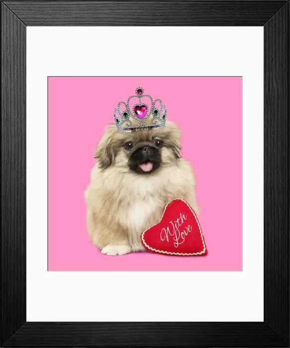 Framed Print : Picture No. 11993299 Framed Print : Picture No. 11993299