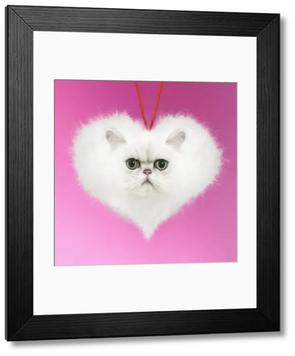 Framed Print : Picture No. 11993303 Framed Print : Picture No. 11993303