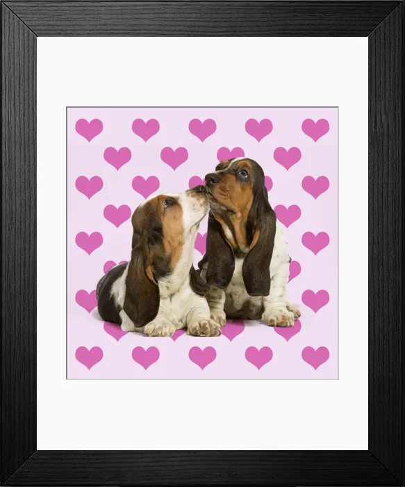 Framed Print : Picture No. 11993314 Framed Print : Picture No. 11993314