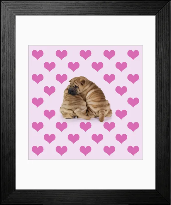 Framed Print : Picture No. 11993315 Framed Print : Picture No. 11993315