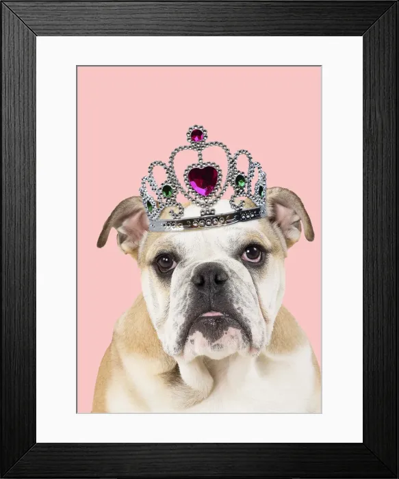 Framed Print : Picture No. 11993328 Framed Print : Picture No. 11993328
