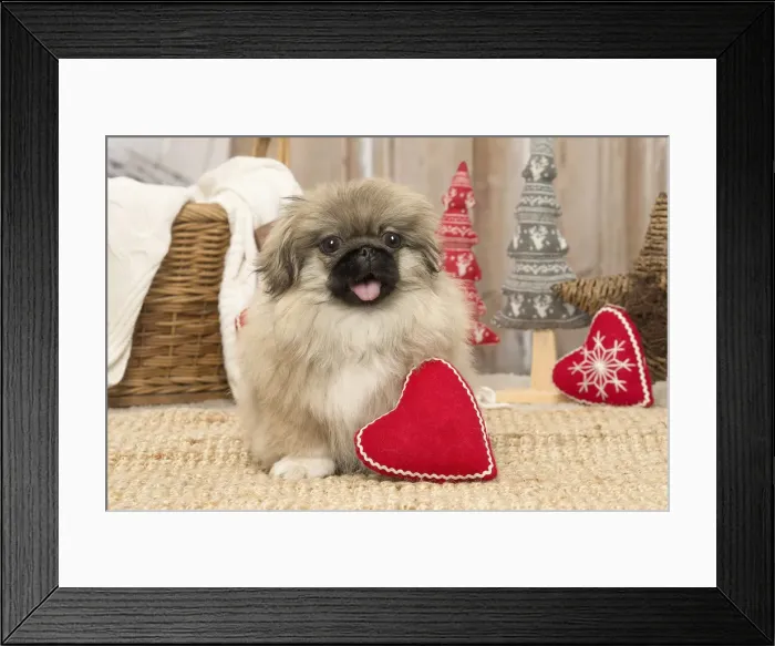 Framed Print : Picture No. 11993329 Framed Print : Picture No. 11993329