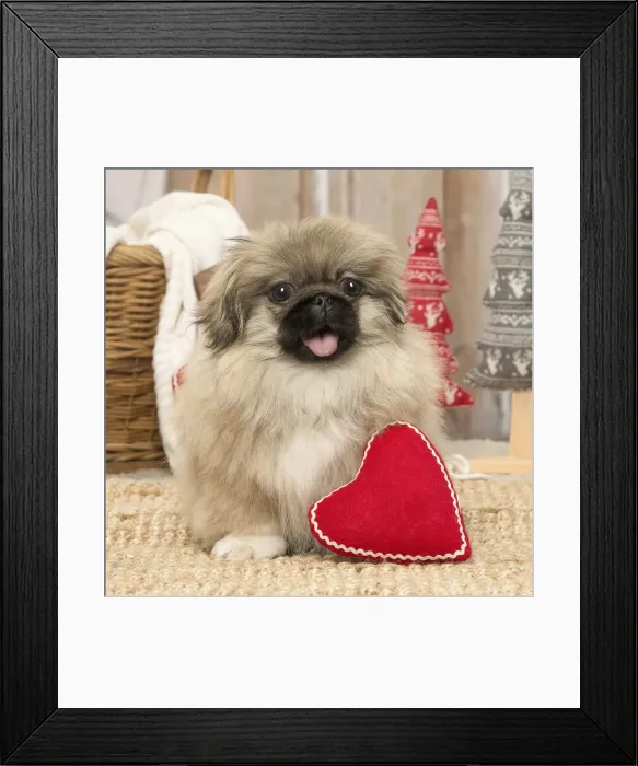 Framed Print : Picture No. 11993330 Framed Print : Picture No. 11993330
