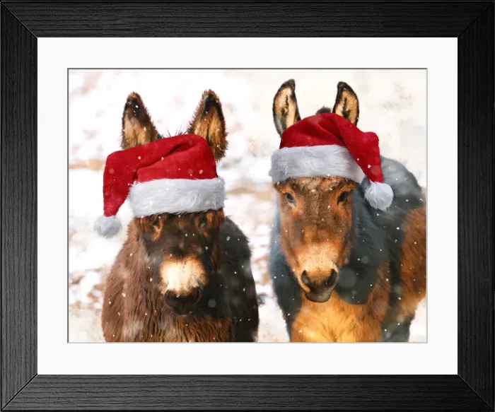 Framed Print : Picture No. 11992893 Framed Print : Picture No. 11992893