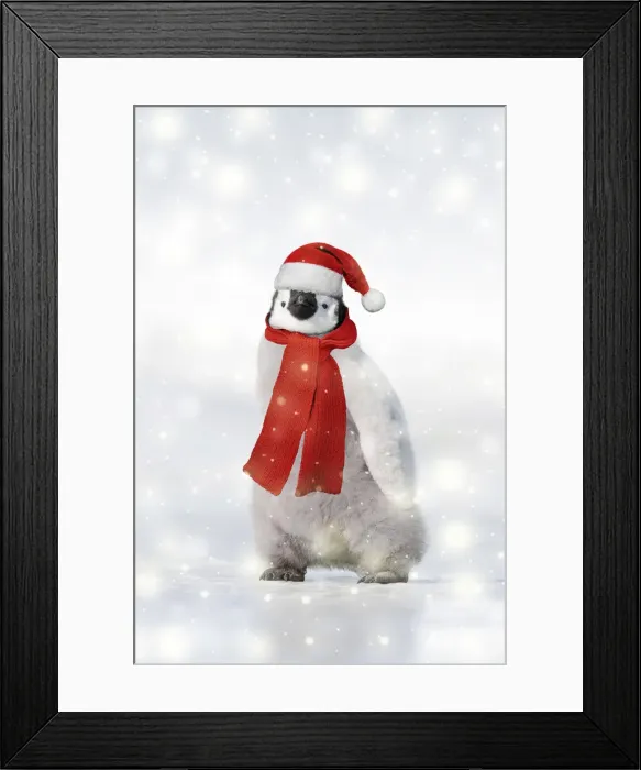 Framed Print : Picture No. 11992896 Framed Print : Picture No. 11992896
