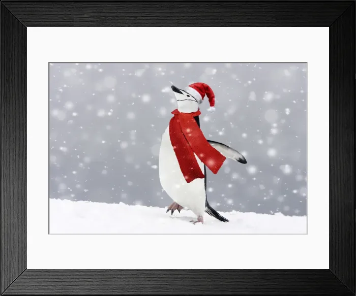 Framed Print : Picture No. 11992895 Framed Print : Picture No. 11992895