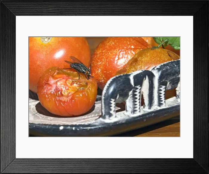 Framed Print : Picture No. 12009482 Framed Print : Picture No. 12009482