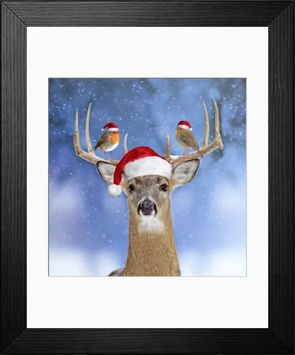 Framed Print : Picture No. 12010831 Framed Print : Picture No. 12010831