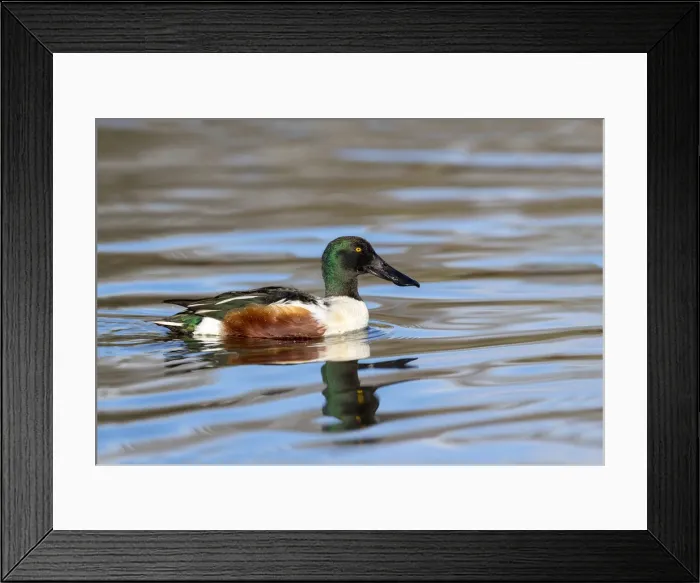 Framed Print : Picture No. 12010247 Framed Print : Picture No. 12010247