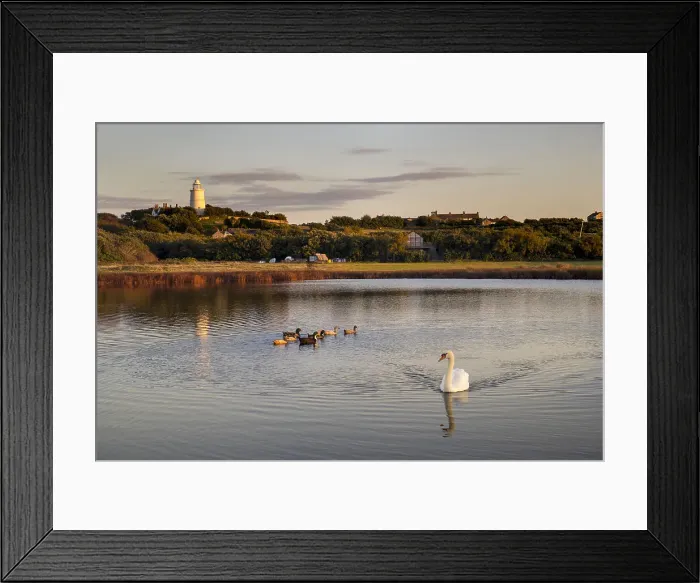 Framed Print : Picture No. 12010254 Framed Print : Picture No. 12010254
