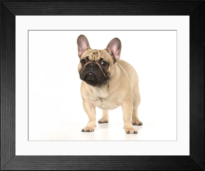 Framed Print : Picture No. 12009443 Framed Print : Picture No. 12009443