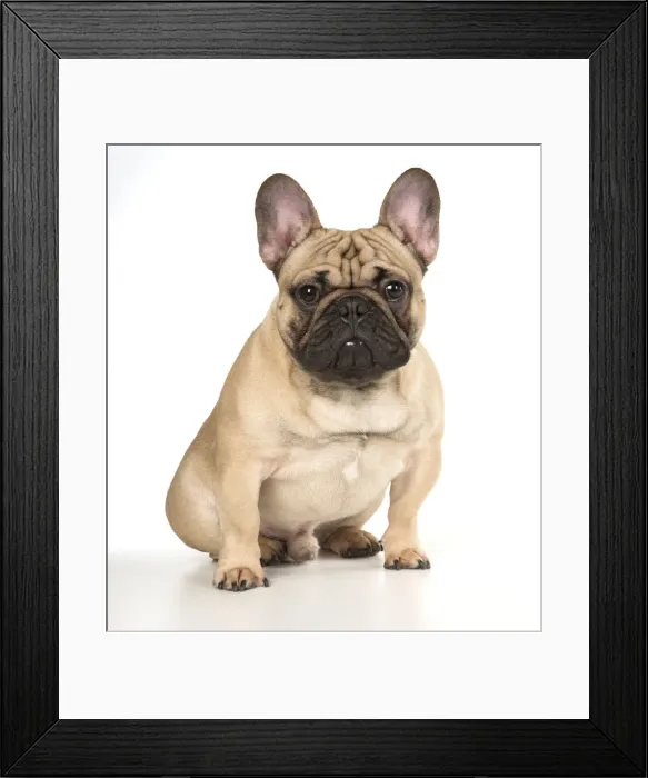 Framed Print : Picture No. 12009447 Framed Print : Picture No. 12009447