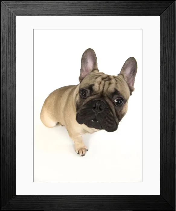 Framed Print : Picture No. 12009448 Framed Print : Picture No. 12009448