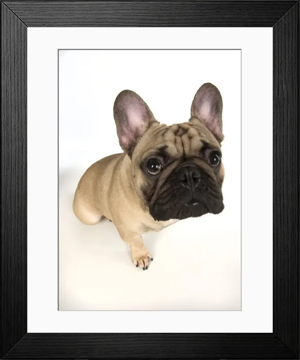 Framed Print : Picture No. 12009449 Framed Print : Picture No. 12009449